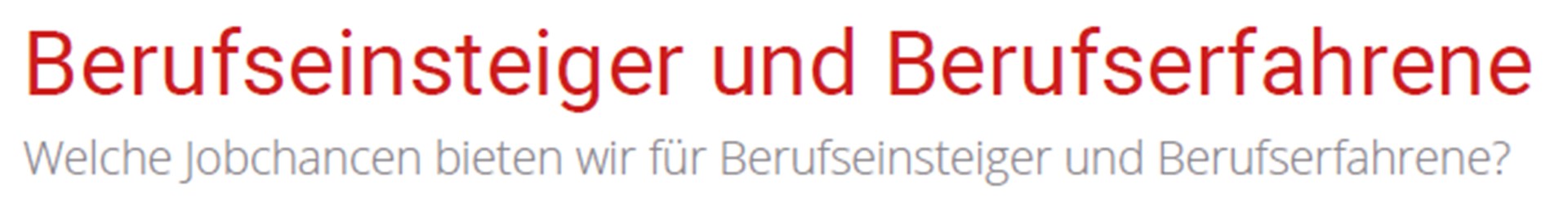 Berufseinsteiger